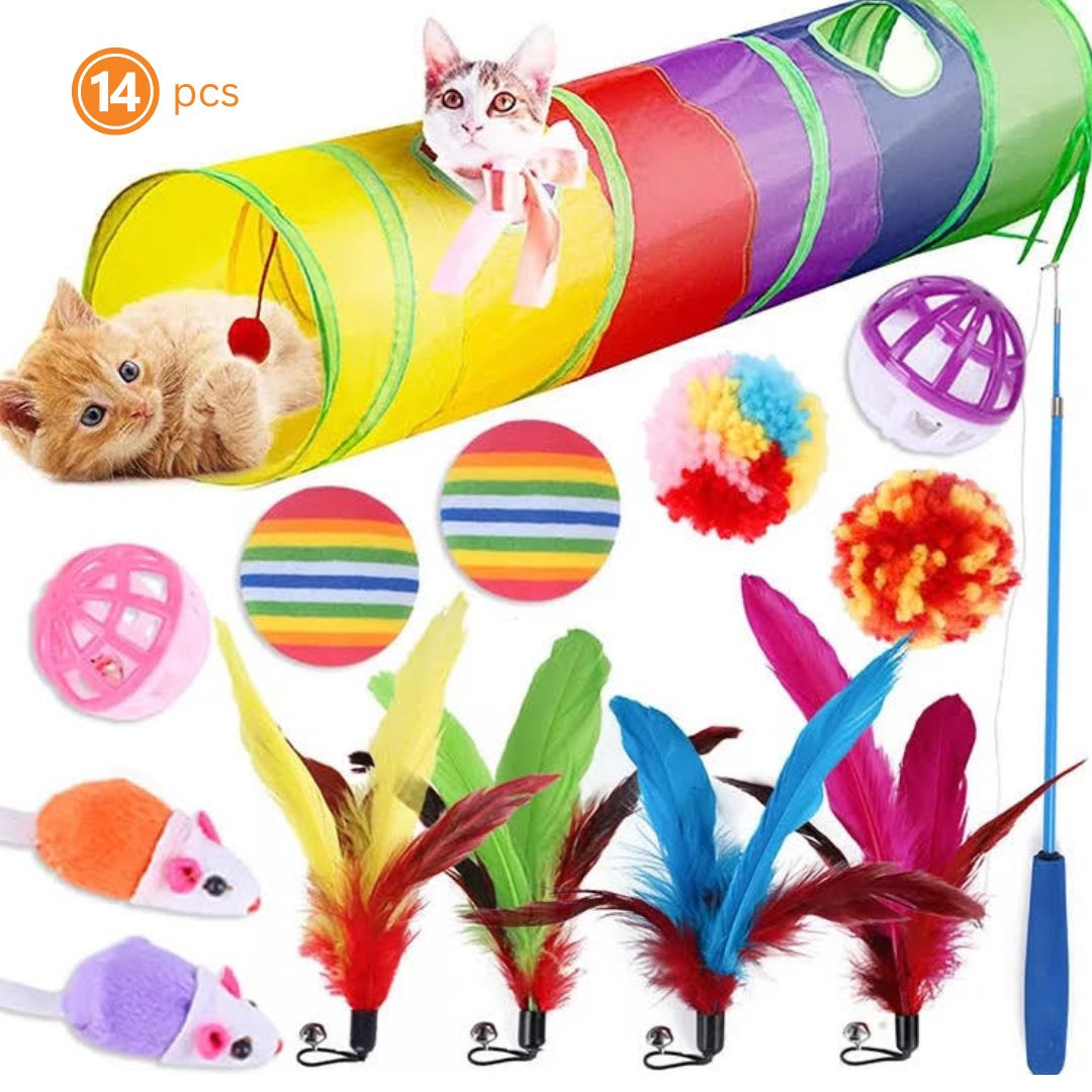 Cat Toys!